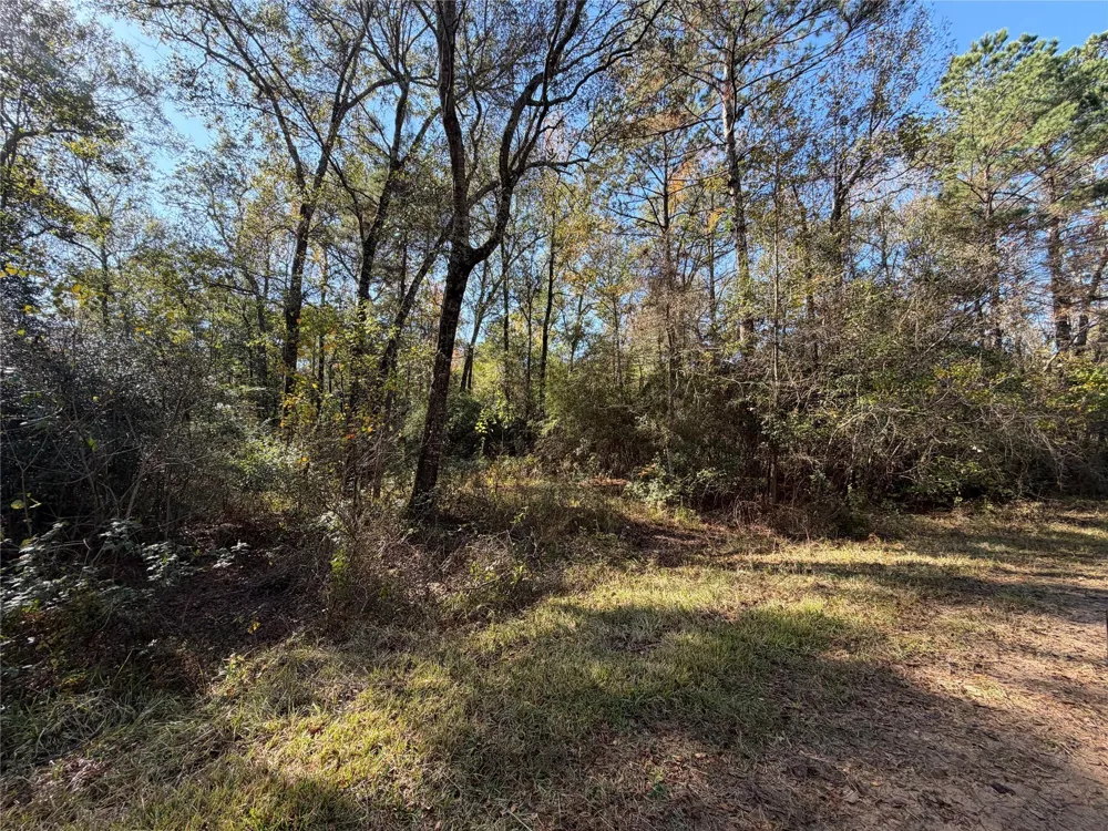8 Private Road 2055 Hull, TX 77564
