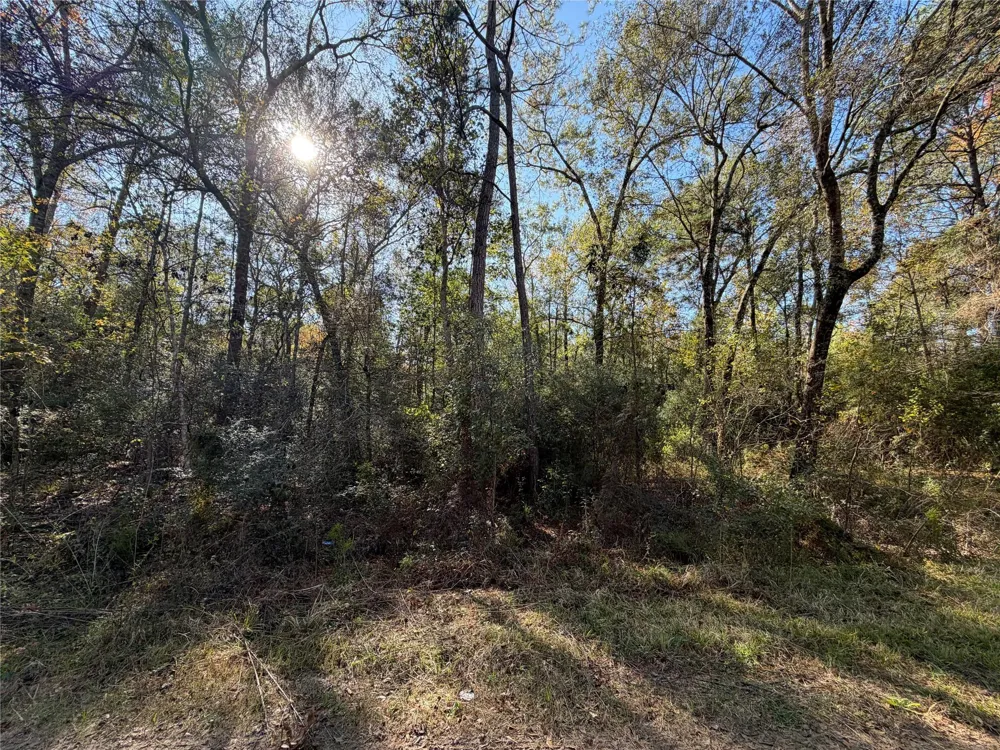 8 Private Road 2055 Hull, TX 77564