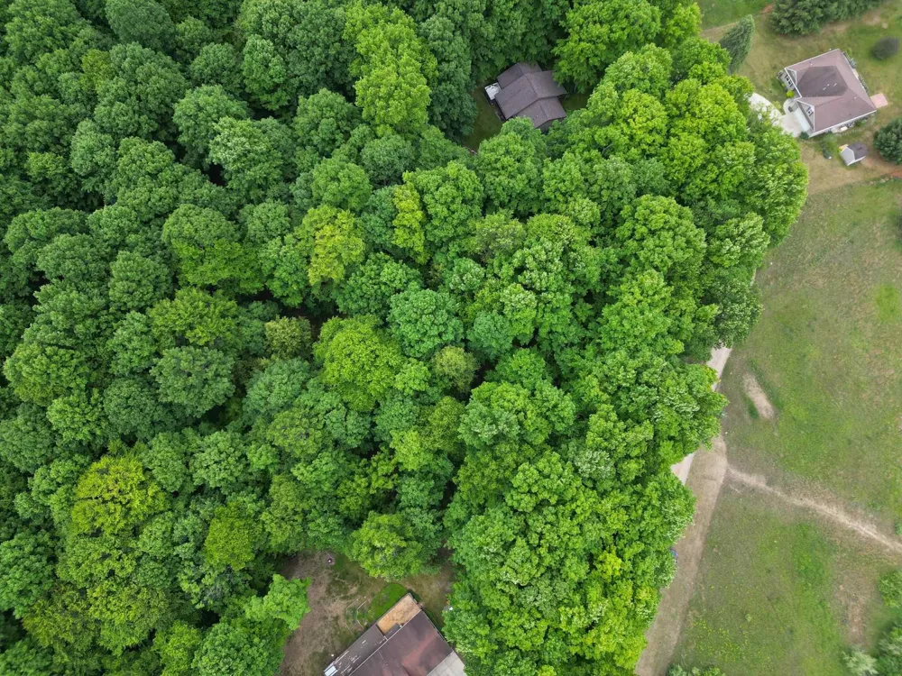 Juniper Drive Surrey Township, MI 48622