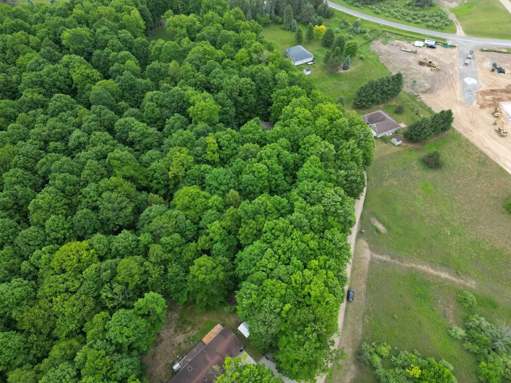 Juniper Drive Surrey Township, MI 48622