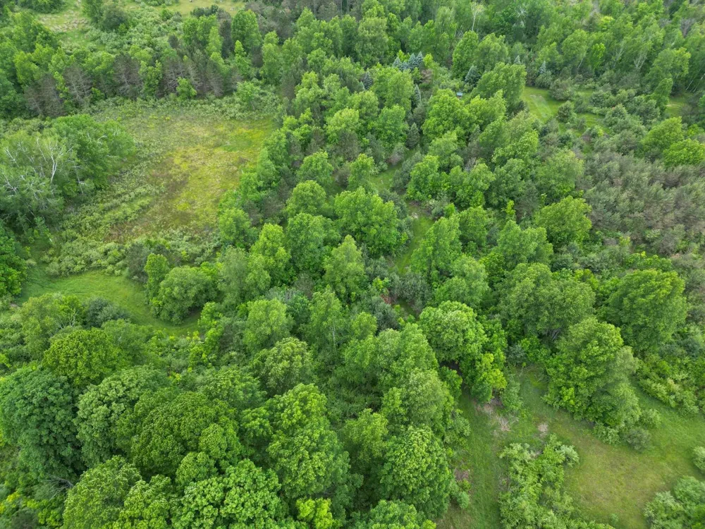 Juniper Drive Surrey Township, MI 48622
