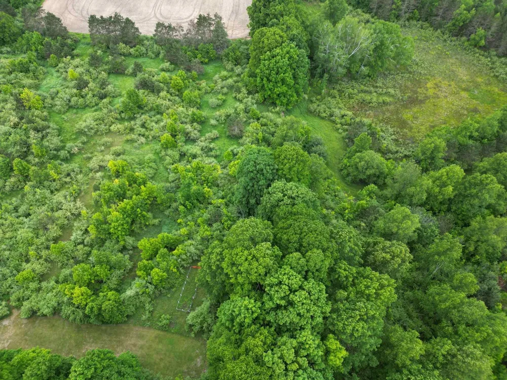 Juniper Drive Surrey Township, MI 48622