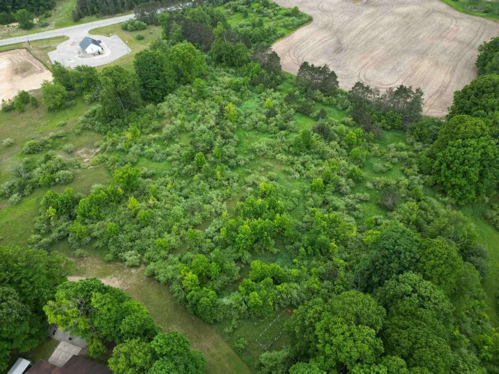 Juniper Drive Surrey Township, MI 48622