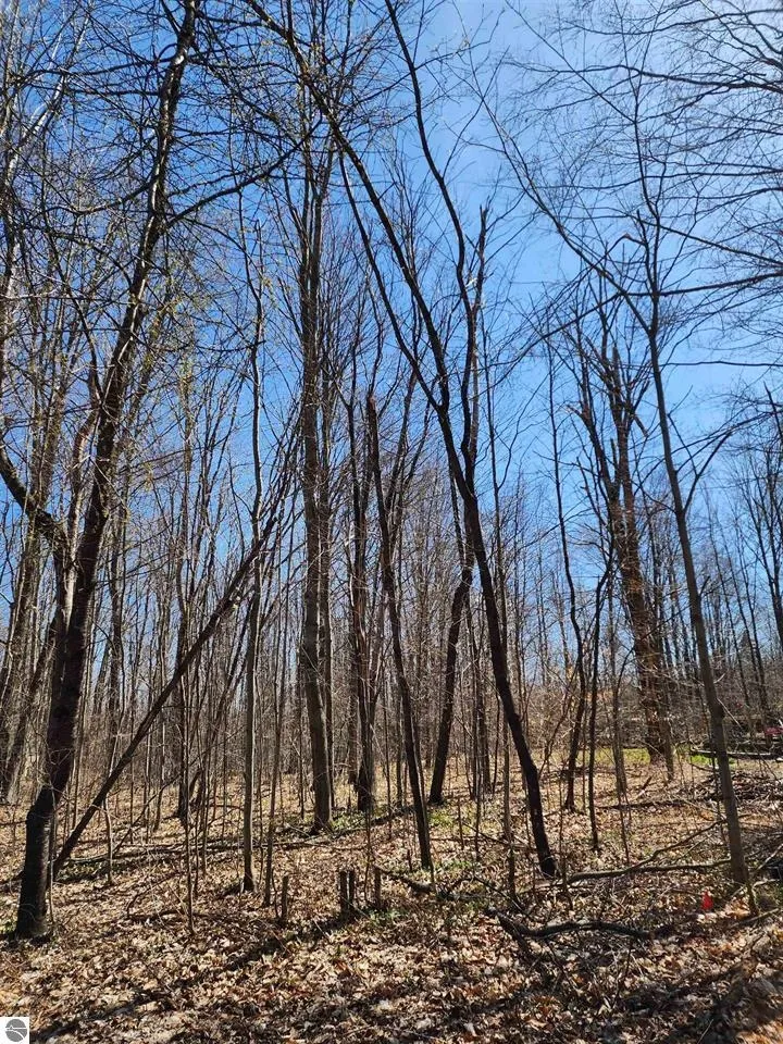 Cliffmont Drive Mancelona Township, MI 49659