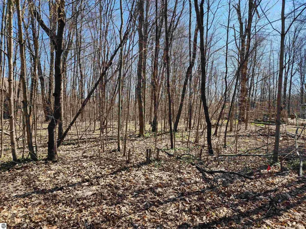Cliffmont Drive Mancelona Township, MI 49659