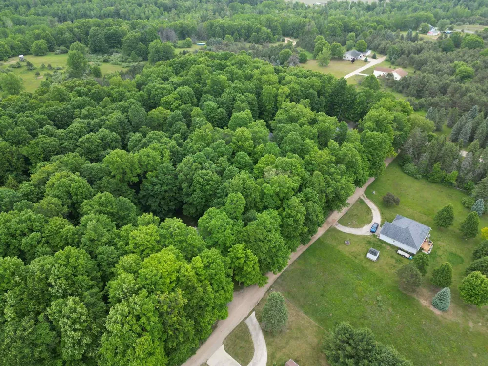 Juniper Drive Surrey Township, MI 48622