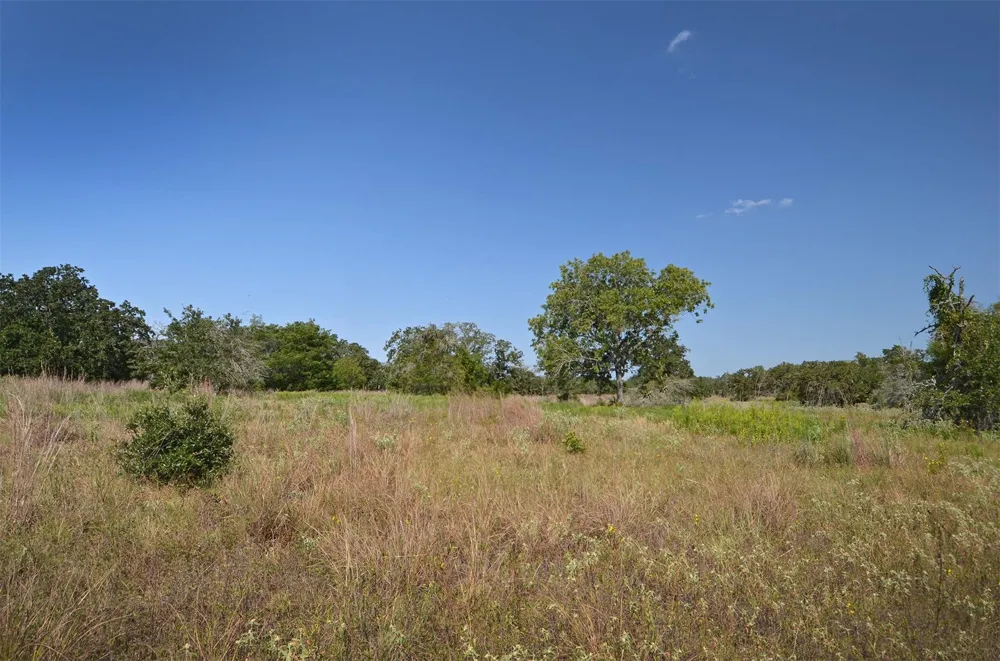 1880 Schoenberg Road Carmine, TX 78932