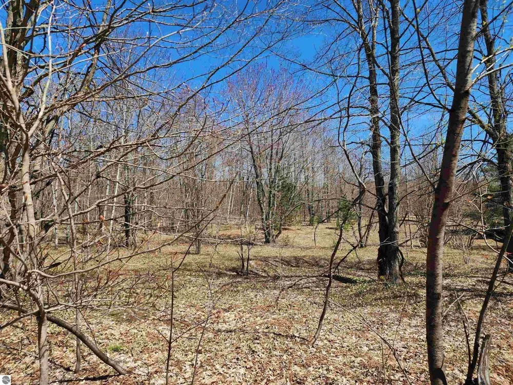 Wilamont Circle Mancelona Township, MI 49659