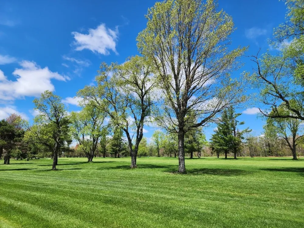 Wilamont Circle Mancelona Township, MI 49659