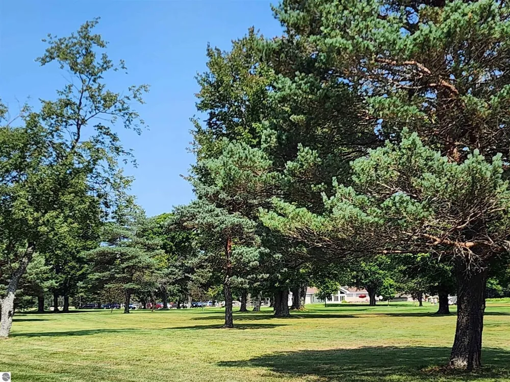Wilamont Circle Mancelona Township, MI 49659