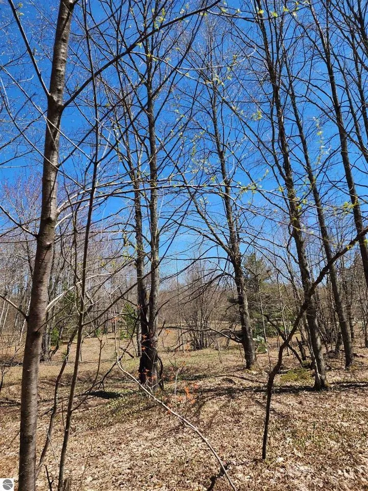 Wilamont Circle Mancelona Township, MI 49659