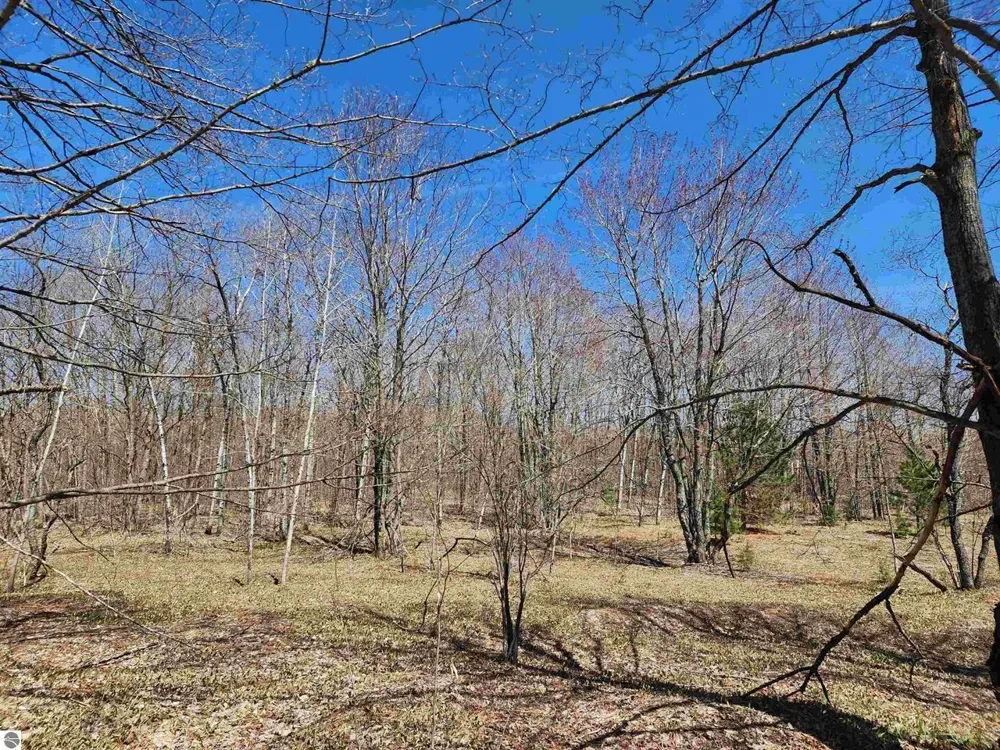 Wilamont Circle Mancelona Township, MI 49659