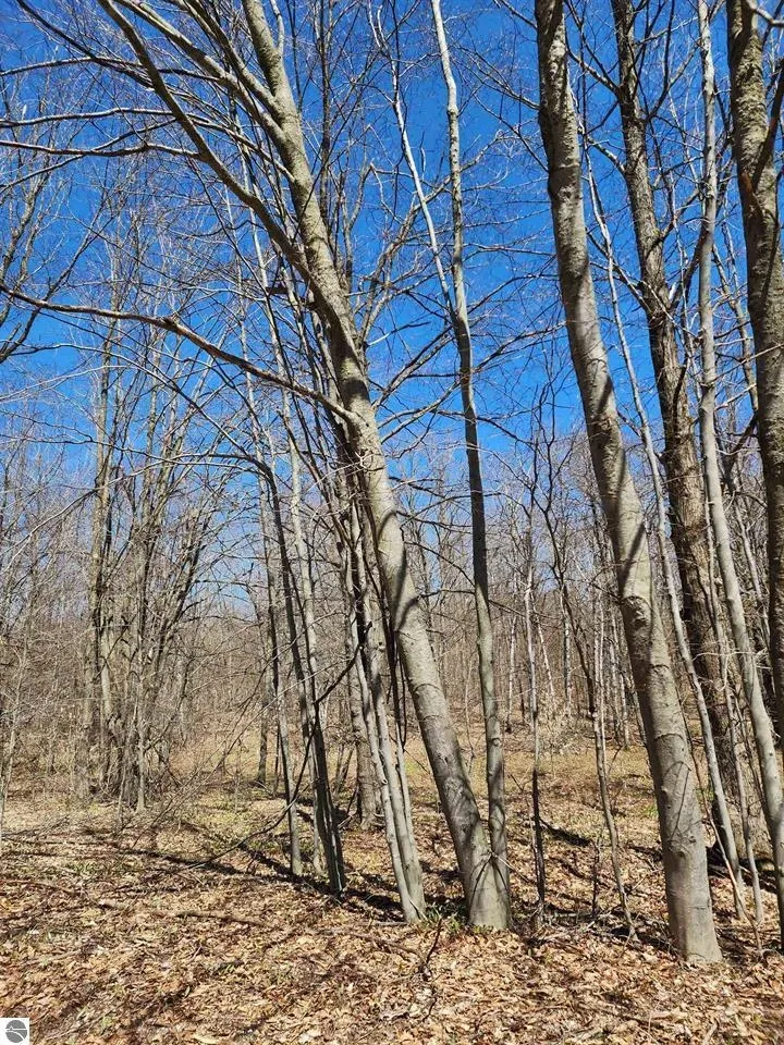 Wilamont Circle Mancelona Township, MI 49659