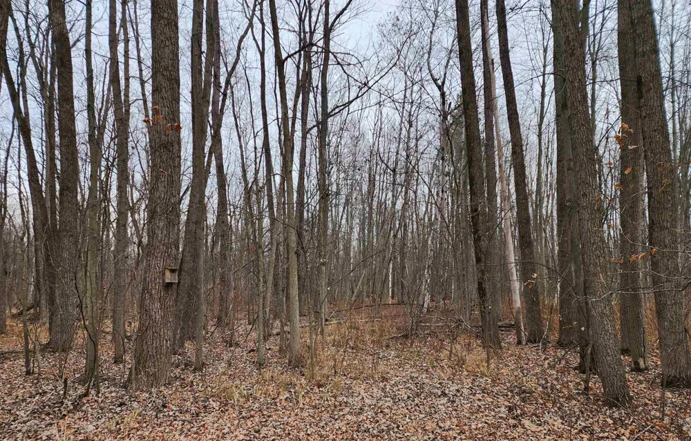 3400 Sturgeon Road Larkin Charter Township, MI 48640