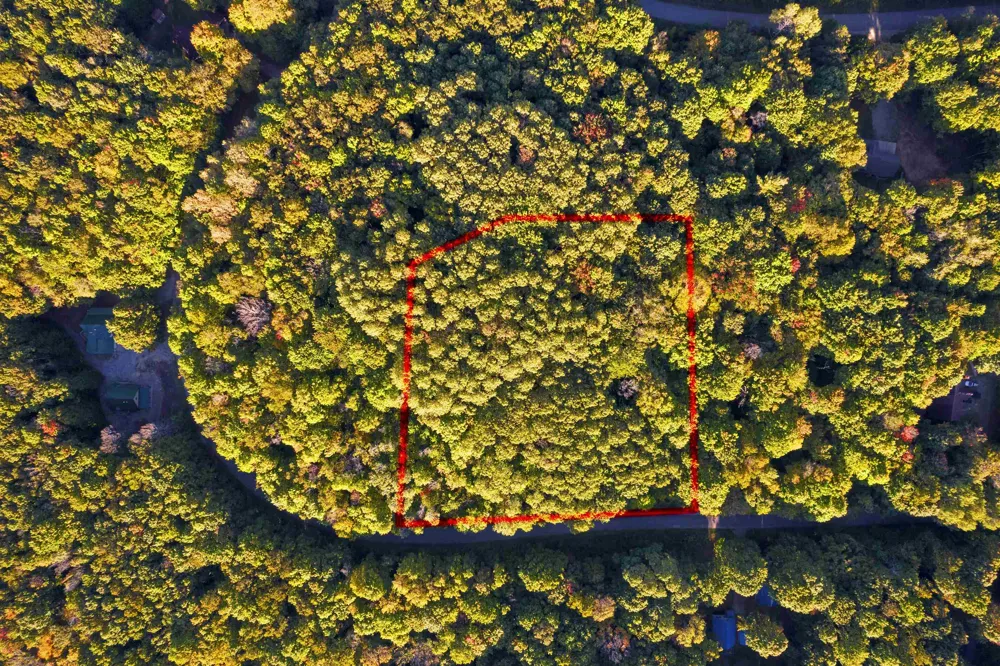 Forestgrove Drive Star Township, MI 49730