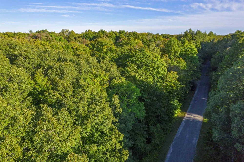 Forestgrove Drive Star Township, MI 49730