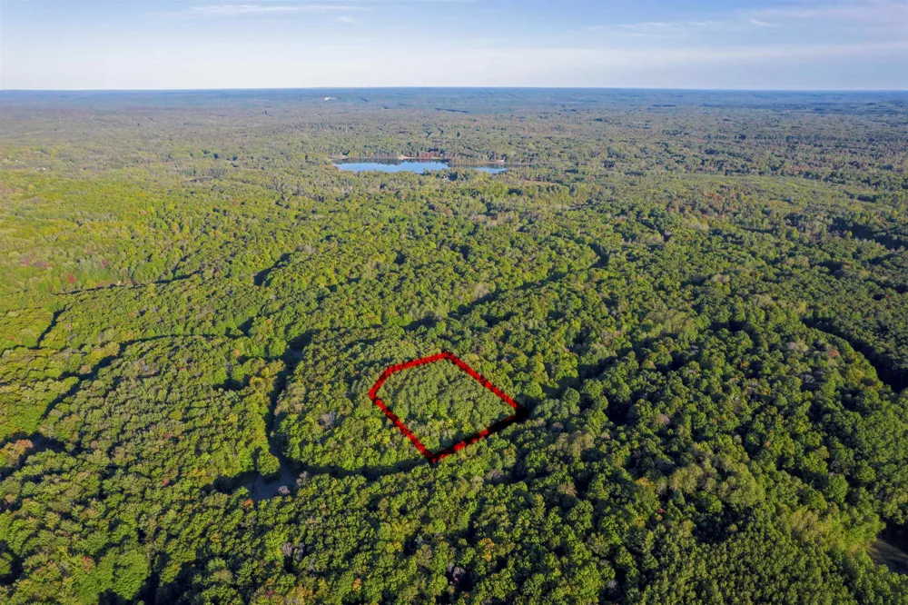 Forestgrove Drive Star Township, MI 49730