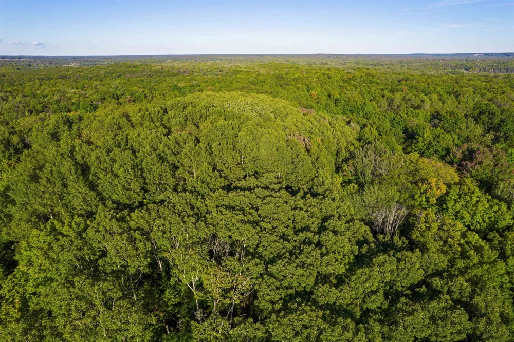 Forestgrove Drive Star Township, MI 49730