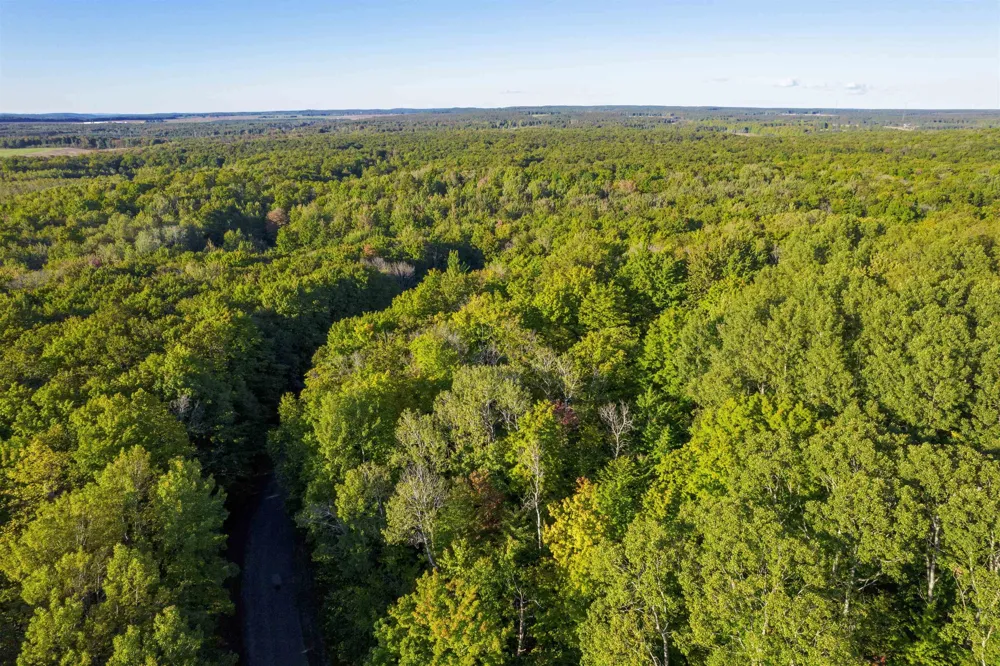 Forestgrove Drive Star Township, MI 49730