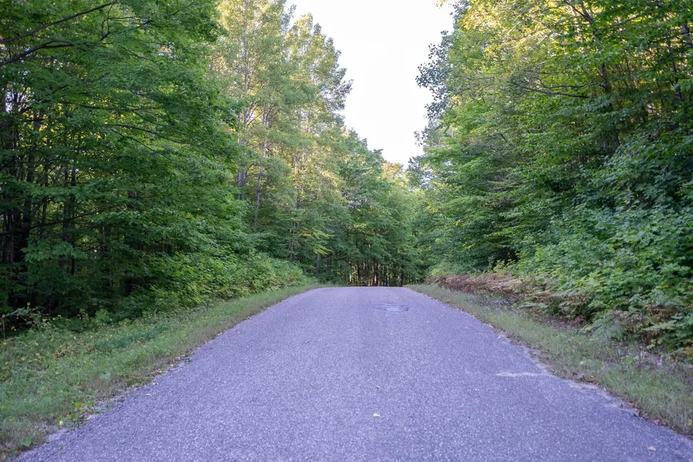 Forestgrove Drive Star Township, MI 49730