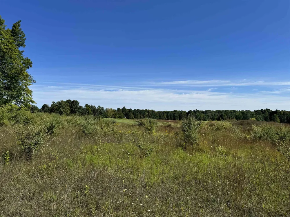 4855 Prestwick Court Acme Township, MI 49690