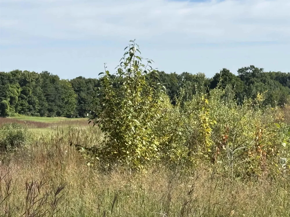 4855 Prestwick Court Acme Township, MI 49690