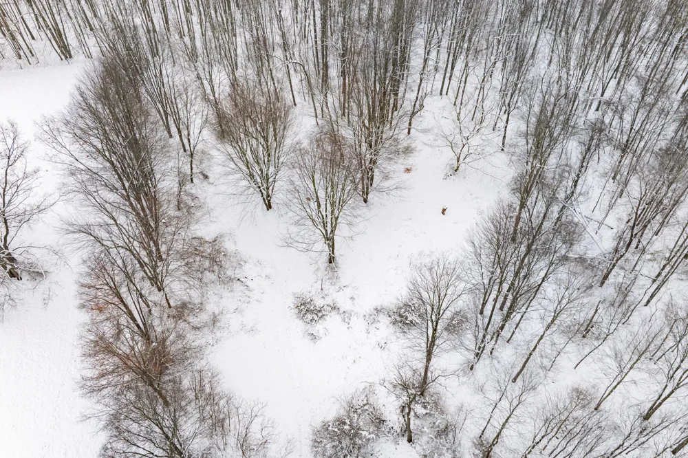 1707 W Bristol Road Barry Township, MI 49046