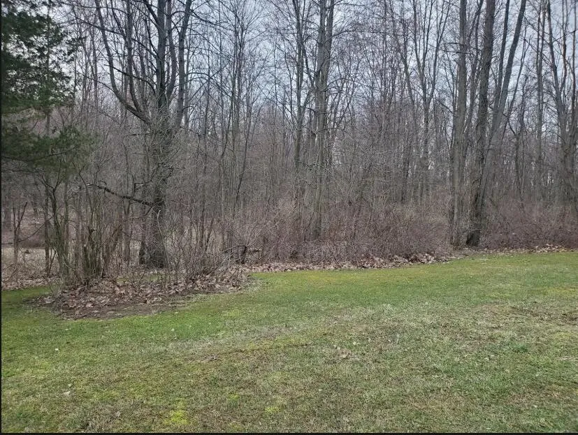 1707 W Bristol Road Barry Township, MI 49046