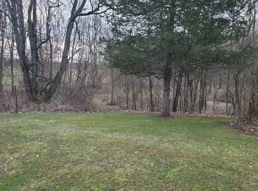 1707 W Bristol Road Barry Township, MI 49046
