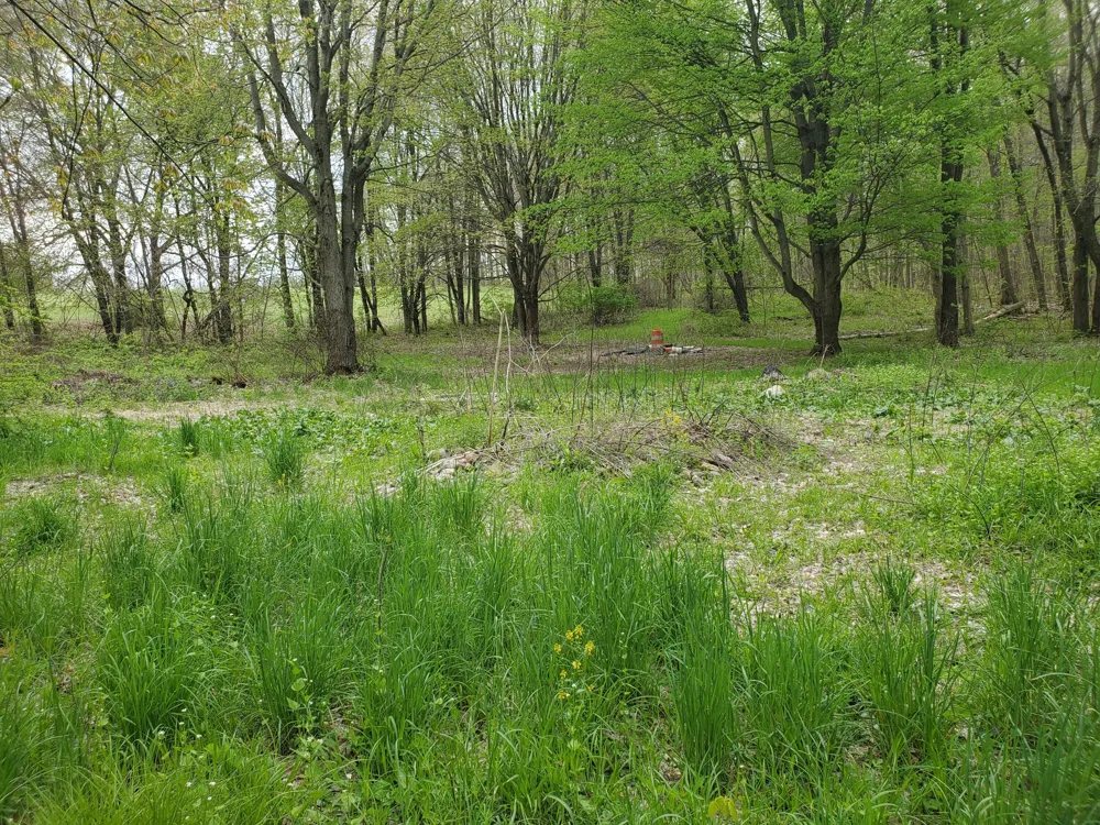 1707 W Bristol Road Barry Township, MI 49046