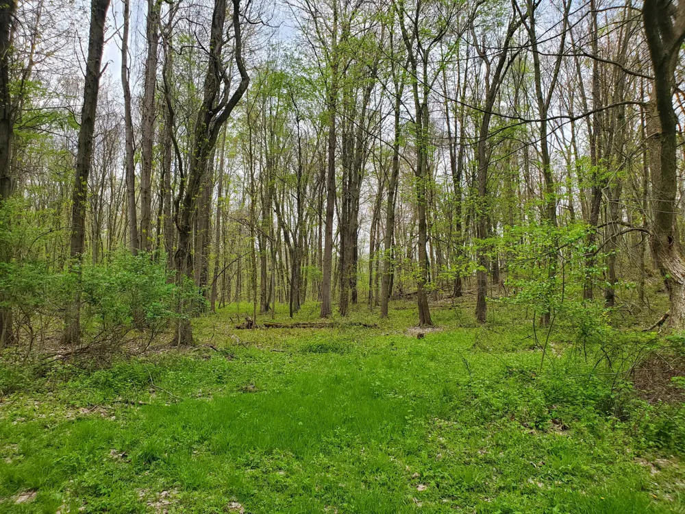 1707 W Bristol Road Barry Township, MI 49046