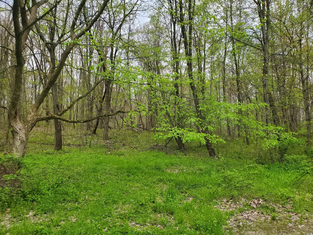 1707 W Bristol Road Barry Township, MI 49046