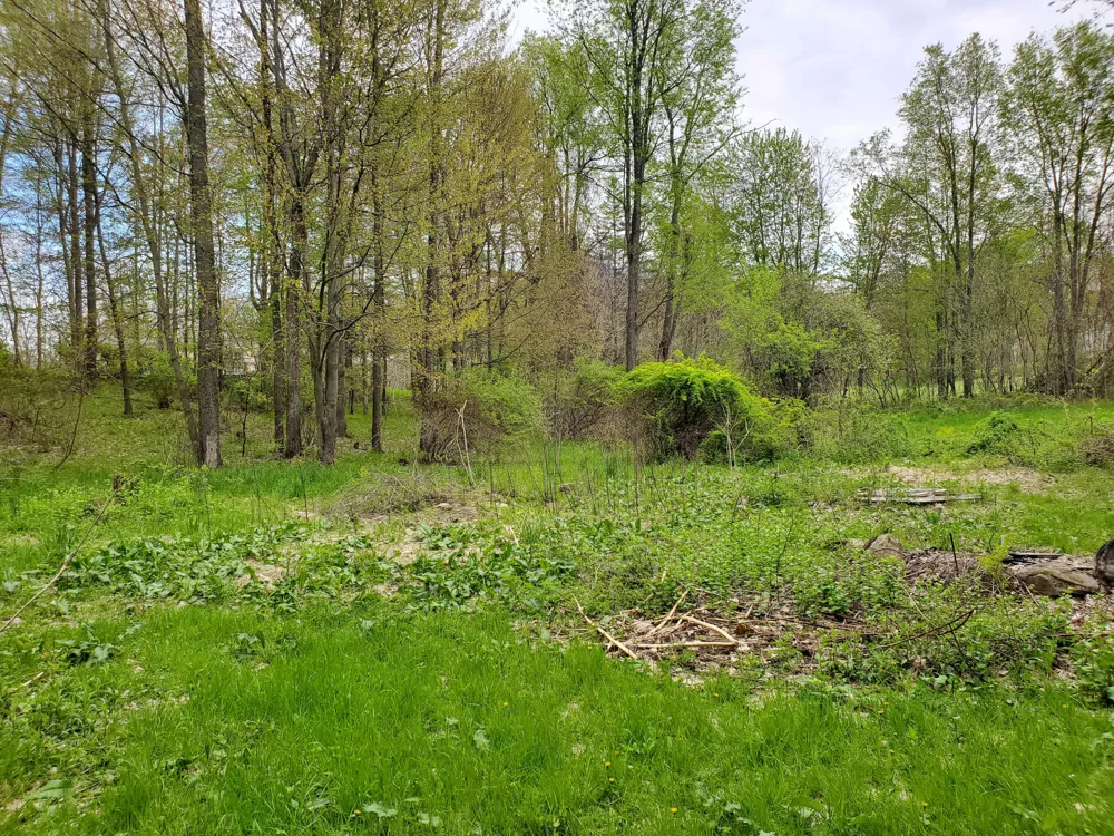 1707 W Bristol Road Barry Township, MI 49046