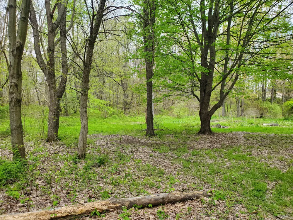 1707 W Bristol Road Barry Township, MI 49046