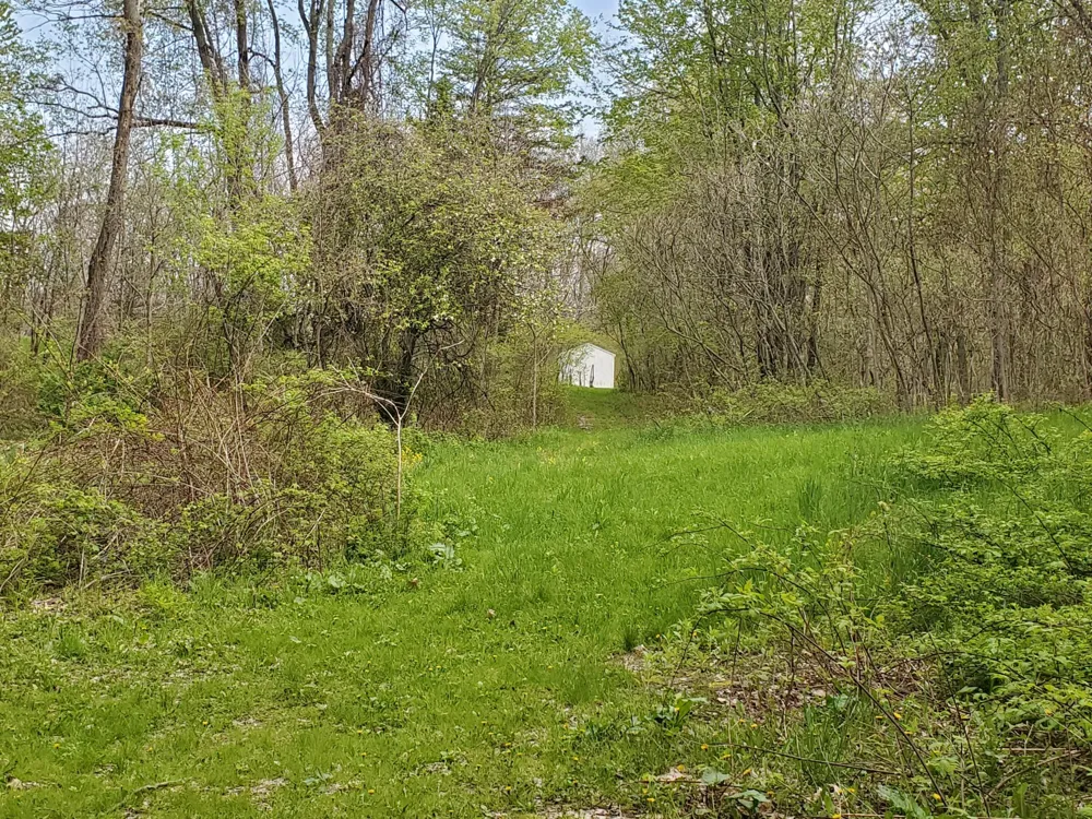 1707 W Bristol Road Barry Township, MI 49046