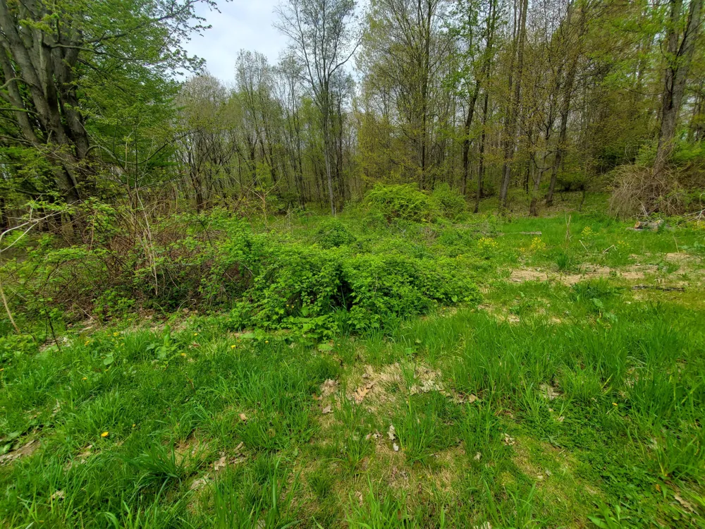 1707 W Bristol Road Barry Township, MI 49046