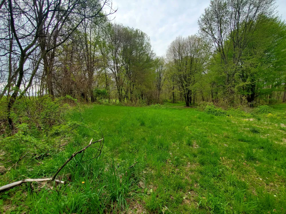 1707 W Bristol Road Barry Township, MI 49046