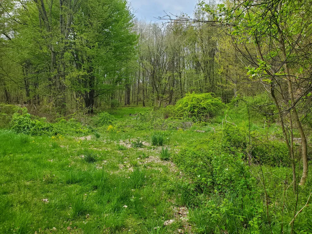 1707 W Bristol Road Barry Township, MI 49046