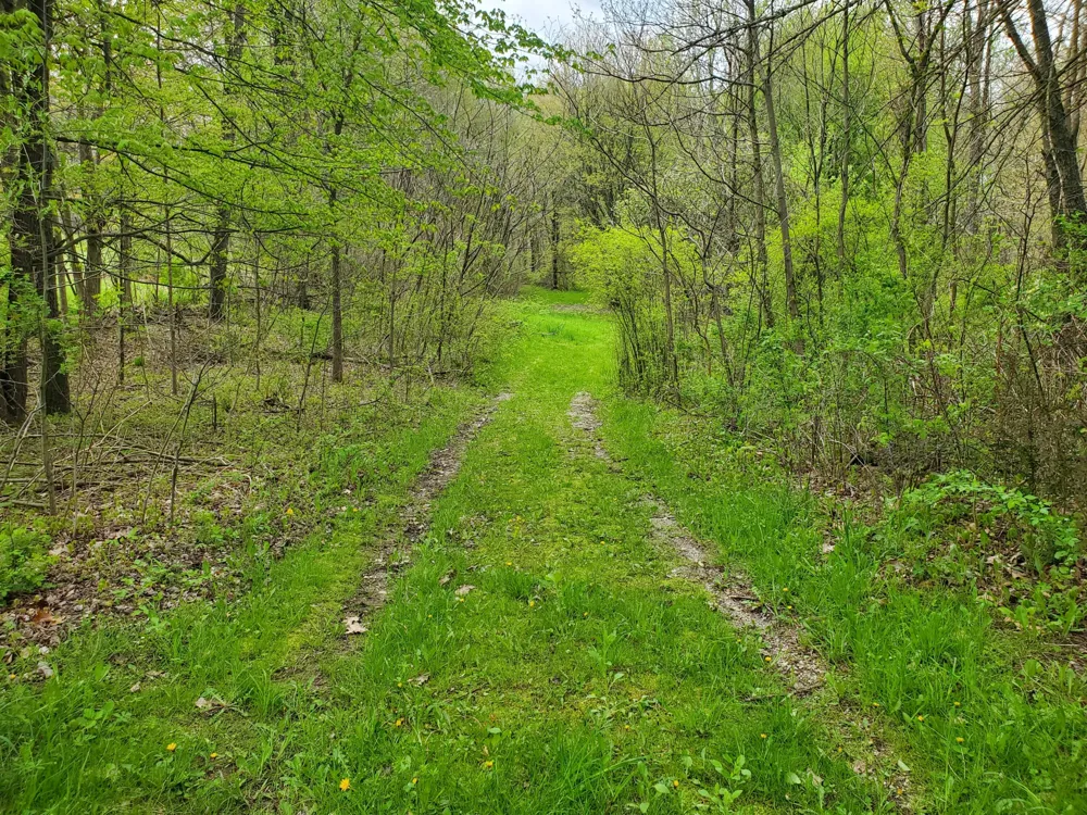 1707 W Bristol Road Barry Township, MI 49046