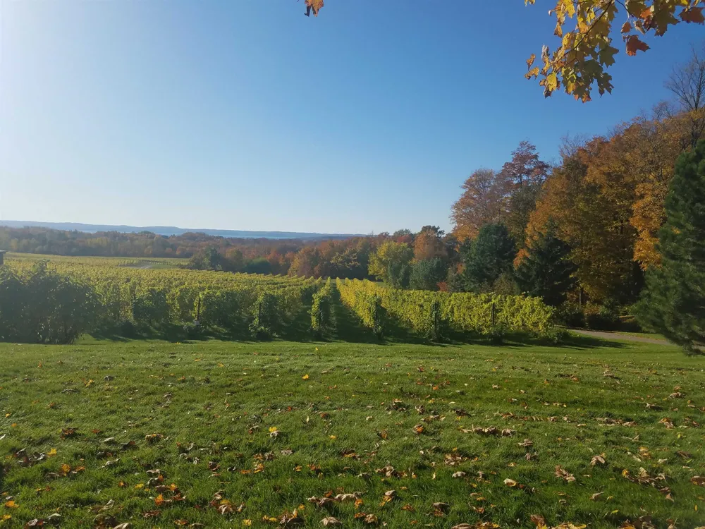 9224 E Duck Lake Road Suttons Bay Township, MI 49682