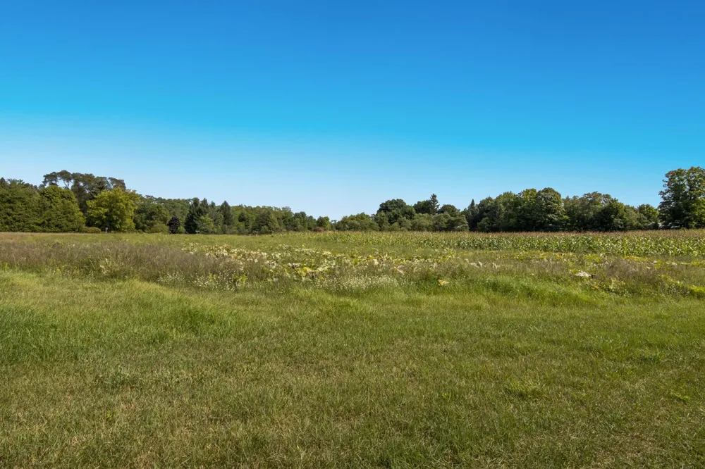 9224 E Duck Lake Road Suttons Bay Township, MI 49682