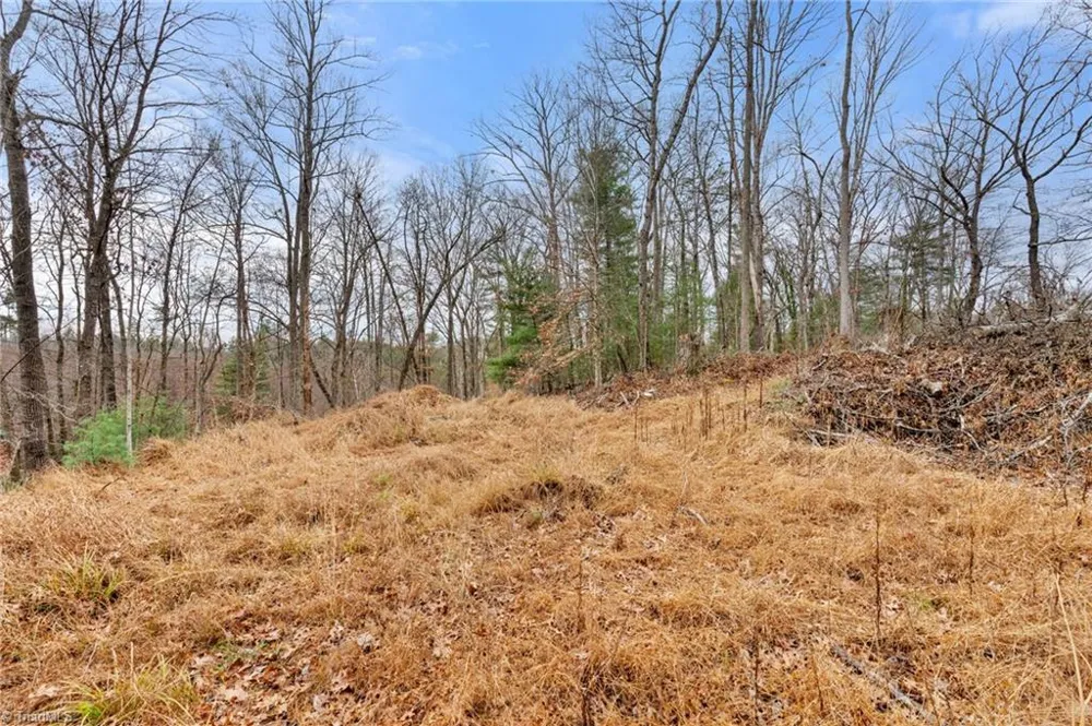 TBD Cedar Trail Mount Airy, NC 27030