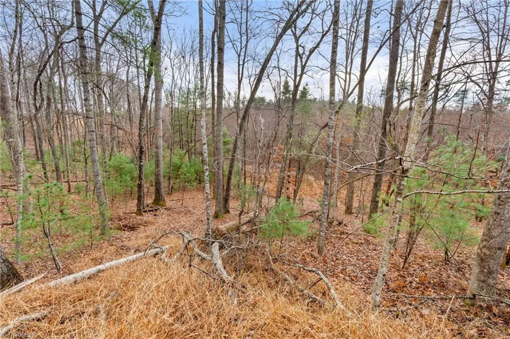 TBD Cedar Trail Mount Airy, NC 27030