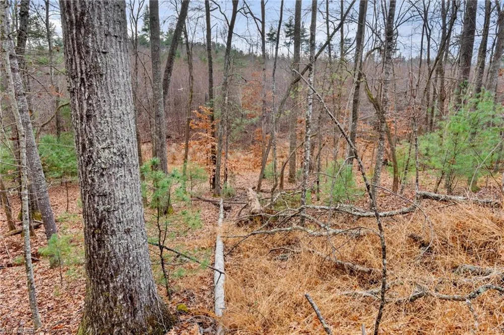 TBD Cedar Trail Mount Airy, NC 27030