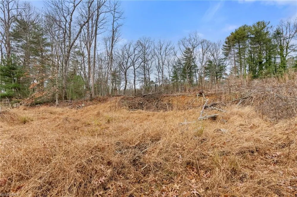 TBD Cedar Trail Mount Airy, NC 27030