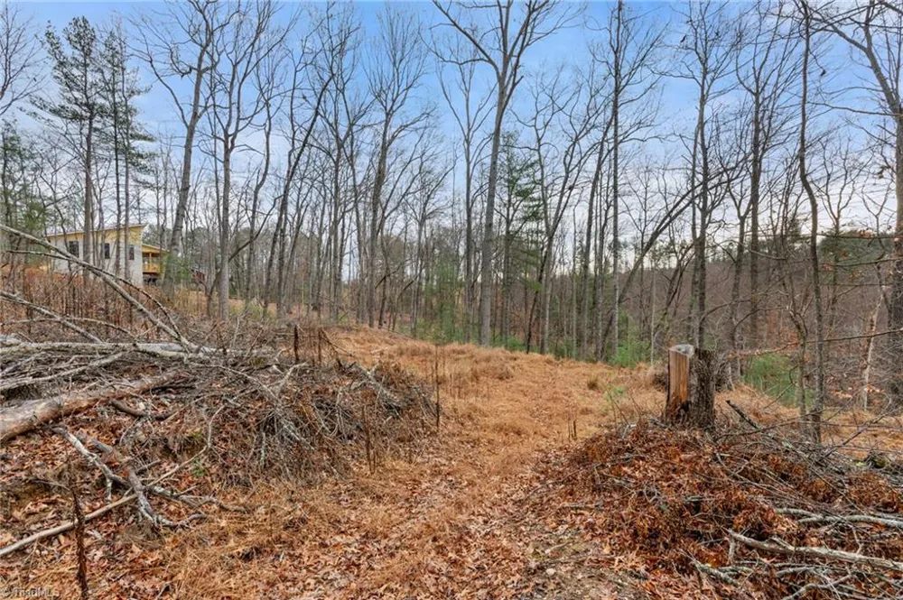 TBD Cedar Trail Mount Airy, NC 27030