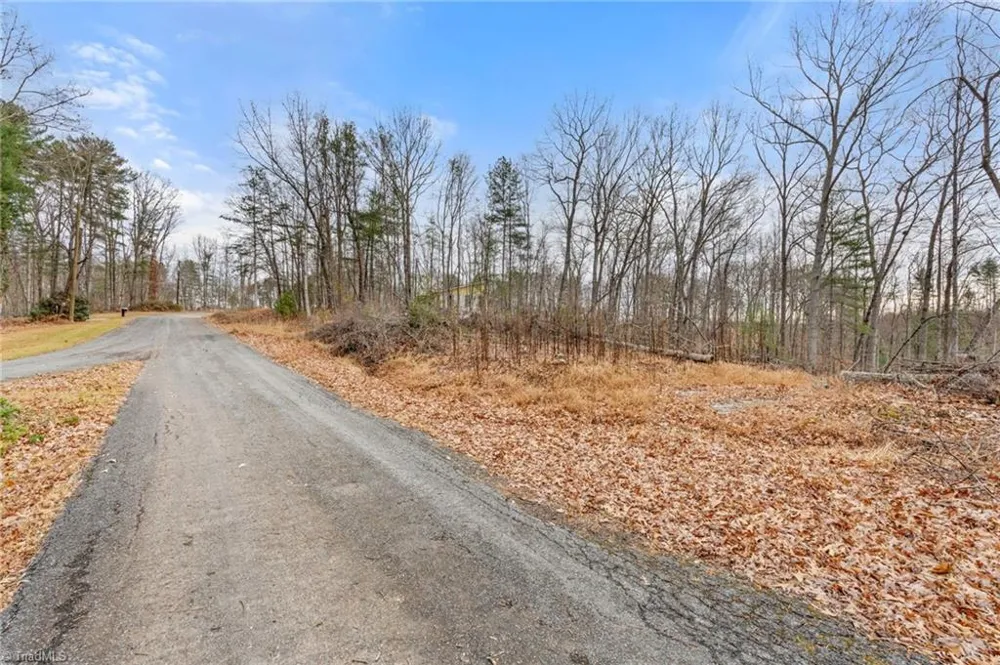 TBD Cedar Trail Mount Airy, NC 27030