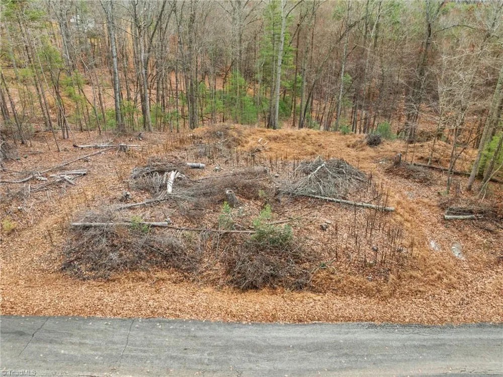 TBD Cedar Trail Mount Airy, NC 27030