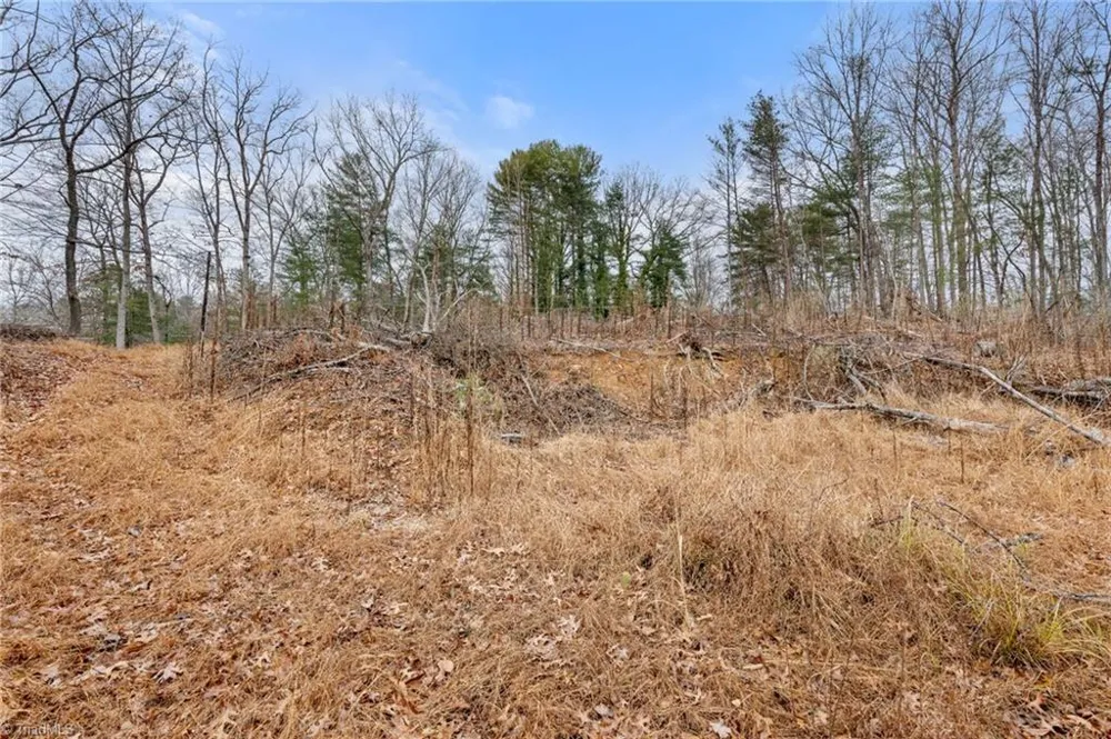 TBD Cedar Trail Mount Airy, NC 27030