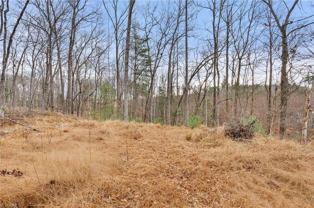 TBD Cedar Trail Mount Airy, NC 27030
